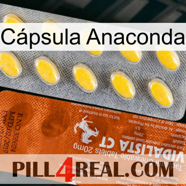 Cápsula Anaconda 42.jpg